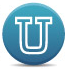 University of Phoenix-Online Campus logo